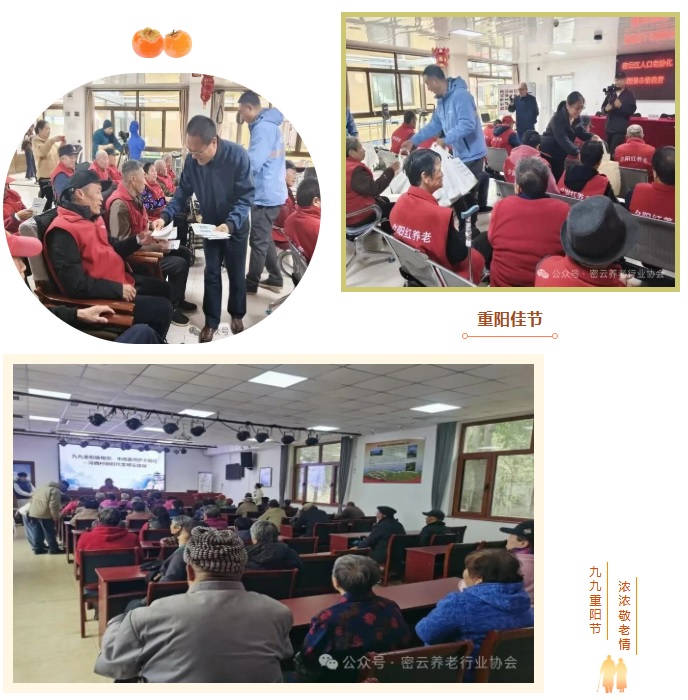 1761899939404097356.jpg 11.jpg